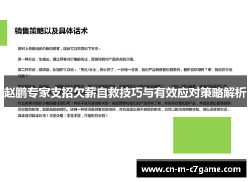 赵鹏专家支招欠薪自救技巧与有效应对策略解析 赵鹏专家支招欠薪自救技巧与有效应对策略解析