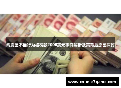 魏震因不当行为被罚款2000美元事件解析及其背后原因探讨