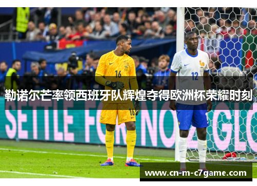 勒诺尔芒率领西班牙队辉煌夺得欧洲杯荣耀时刻