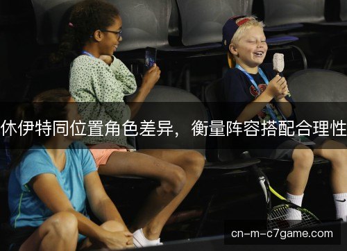 休伊特同位置角色差异，衡量阵容搭配合理性